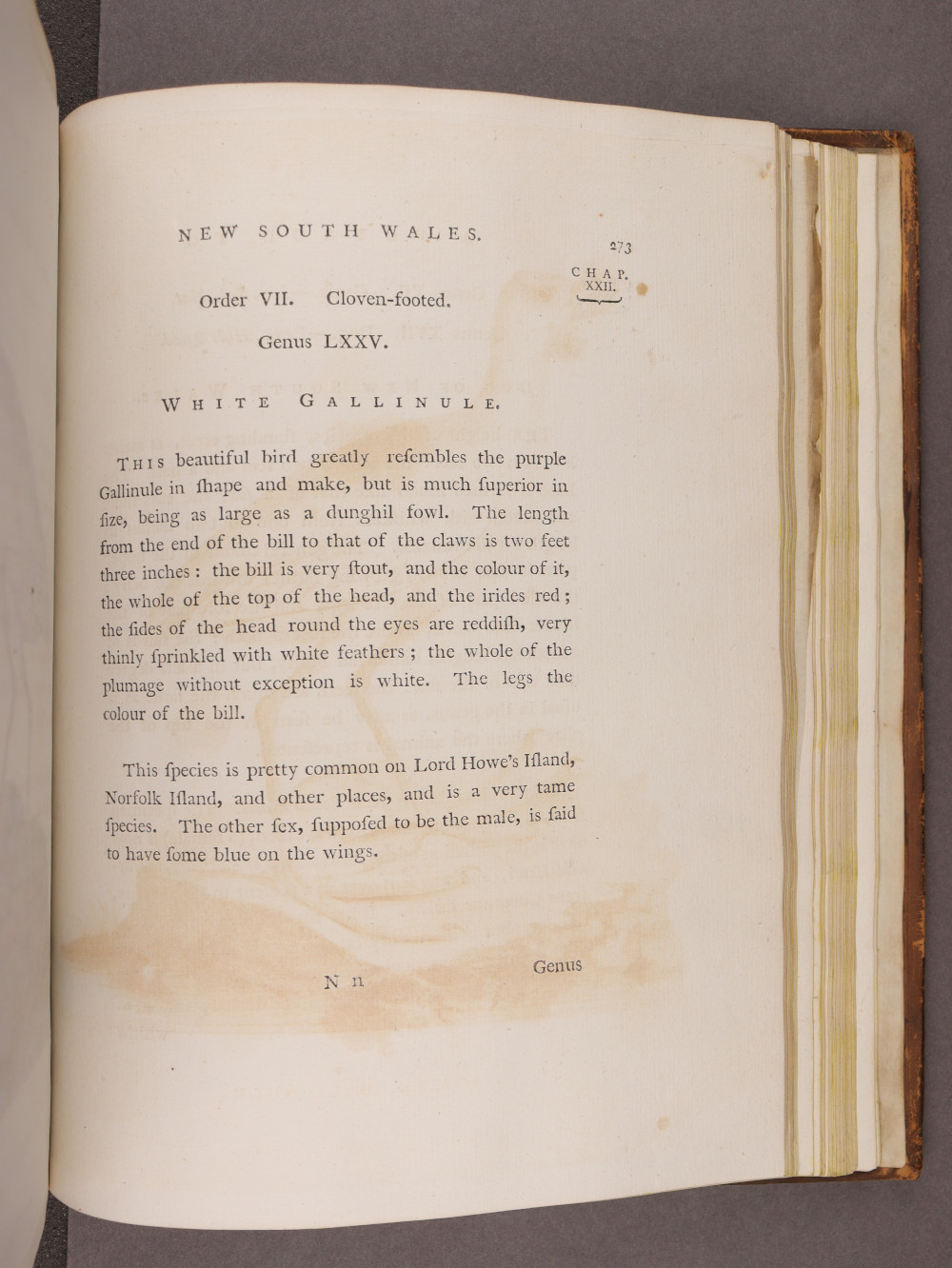 Page 273